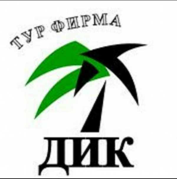 Логотип компании ДИК