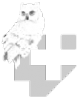 Логотип компании Бюро независимой медико-криминалистической экспертизы