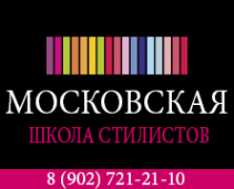 Логотип компании Московская школа стилистов