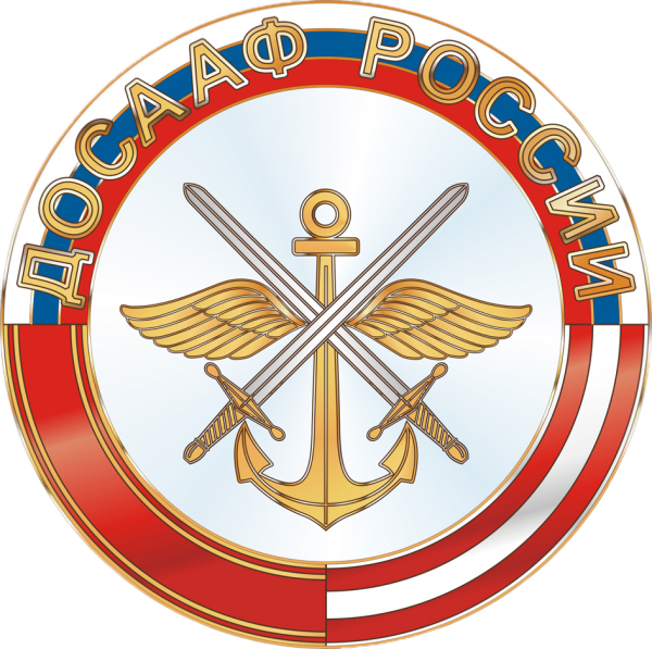 Логотип компании ДОСААФ России Тамбовской области